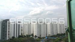 Blk 686B Woodlands Drive 73 (Woodlands), HDB 4 Rooms #80044412